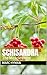 Schisandra