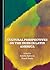 Cultural Perspectives on the Irish in Latin America