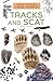Tracks and Scat (North American Field Guides Set 1)