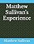 Matthew Sullivan's Experience