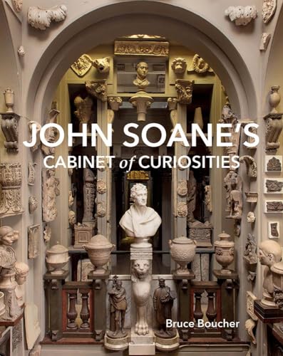 John Soane's Cabinet of Curiosities: Reflections on an Architect and His Collection (Hardcover)