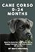 Cane Corso 0-24 Months: How...