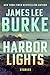Harbor Lights (Thorndike Press Large Print Top Shelf)