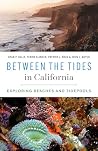 Between the Tides...