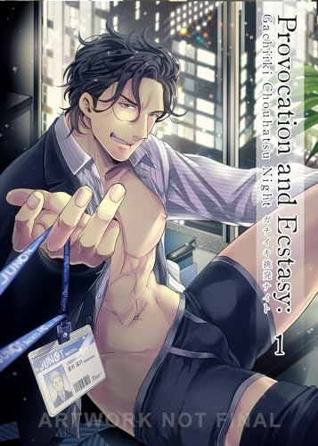 Provocation and Ecstasy Vol. 1: Gachiiki Chouhatsu Night (Paperback)