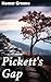 Pickett's Gap: Exploring the Depths of Appalachian Small Town Life