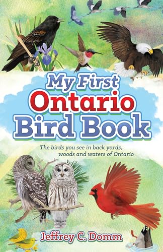 My First Ontario Bird Book (Paperback)