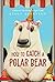How to Catch a Polar Bear (Washington Park Stories)