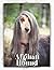Afghan Hound: Dog breed ove...