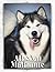 Alaskan Malamute: How to tr...