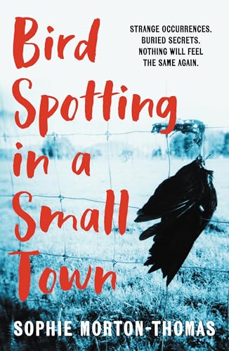 Bird Spotting In A Small Town (Kindle Edition)