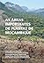 As Áreas Importantes de Plantas de Moçambique