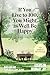 If You Live to 100, You Might as Well Be Happy: Essays on Ordinary Joy