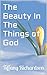 The Beauty In The Things of...