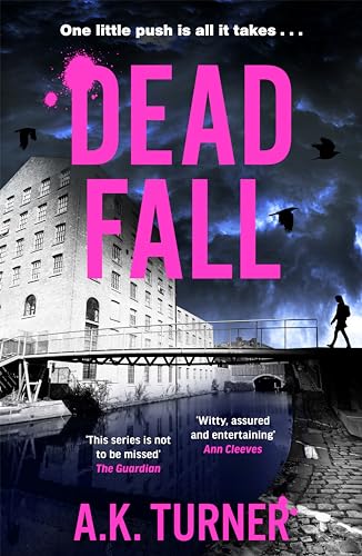 Dead Fall (Cassie Raven #4)
