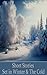 Short Stories Set in Winter