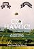 Cry Havoc! An Untold Story of Rangers at War