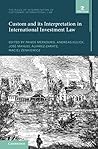 Custom and its Interpretation in International Investment Law: Volume 2 (The Rules of Interpretation of Customary International Law)