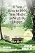 If You Live to 100, You Might as Well Be Happy: Essays on Ordinary Joy