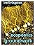 Ecopoetics Groundwork