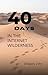 40 Days in the Internet Wilderness