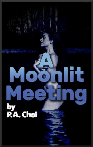 A Moonlit Meeting (Kindle Edition)