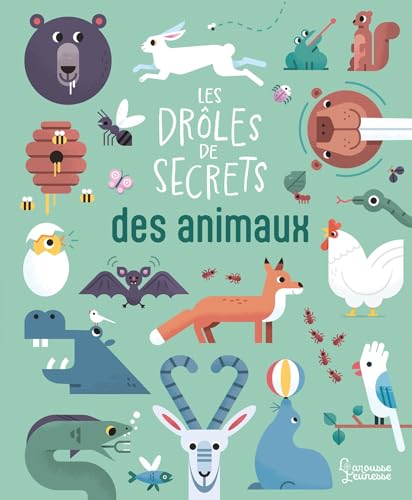 Les drôles de secrets des animaux (Hardcover)