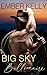 Big Sky Billionaire (Montana Dreams Book 1)