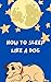 How to Sleep Like a Dog