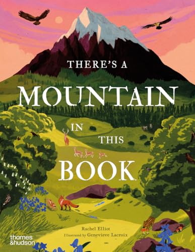 There's a Mountain in This Book (Young Explorers, 1)