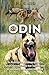 K9 Odin
