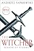 Season of Storms (The Witcher #8)