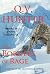 The Borders of Rage: A Novel of the Late Roman Empire (Embers of Empire Book 11)