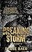 Breaking Storm (Storm Duet 1)