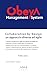 Obeya Management System: Collaboration by Design: un approccio diverso ad Agile (Italian Edition)