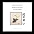 Mariposa Danzando / 蝶の舞い / Dancing Butterfly by Germain Droogenbroodt