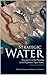 Strategic Water: Iraq and S...