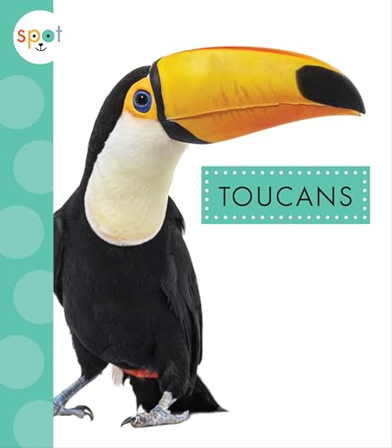 Toucans (Spot: Rainforest Animals)