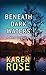 Beneath Dark Waters (New Orleans #2) by Karen Rose