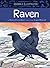 Animals Illustrated: Raven