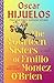 The Fourteen Sisters of Emilio Montez O'Brien: A Novel