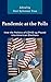 Pandemic at the Polls: How the Politics of COVID-19 Played into American Elections