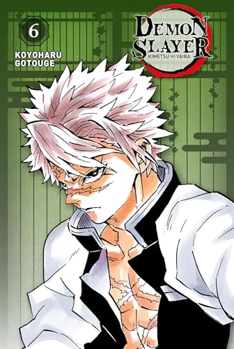 Demon Slayer - Edition Pilier T06 (Paperback)