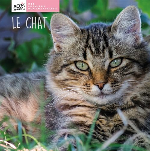 LE CHAT (Hardcover)