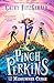 Pinch Perkins and the Midsummer Curse by Cathy Fitzgerald