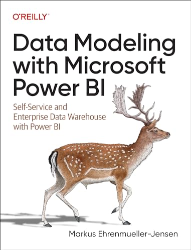 Data Modeling with Microsoft Power BI: Self-Service and Enterprise Data Warehouse with Power BI (Paperback)