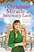 A Christmas Miracle on Sanctuary Lane