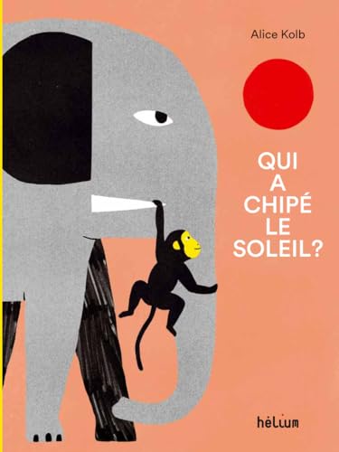 Qui a chipé le soleil ? (Hardcover)