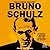 Bruno Schulz: An Artist, a Murder, and the Hijacking of History