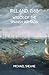Ireland, 1588: Wreck of the...